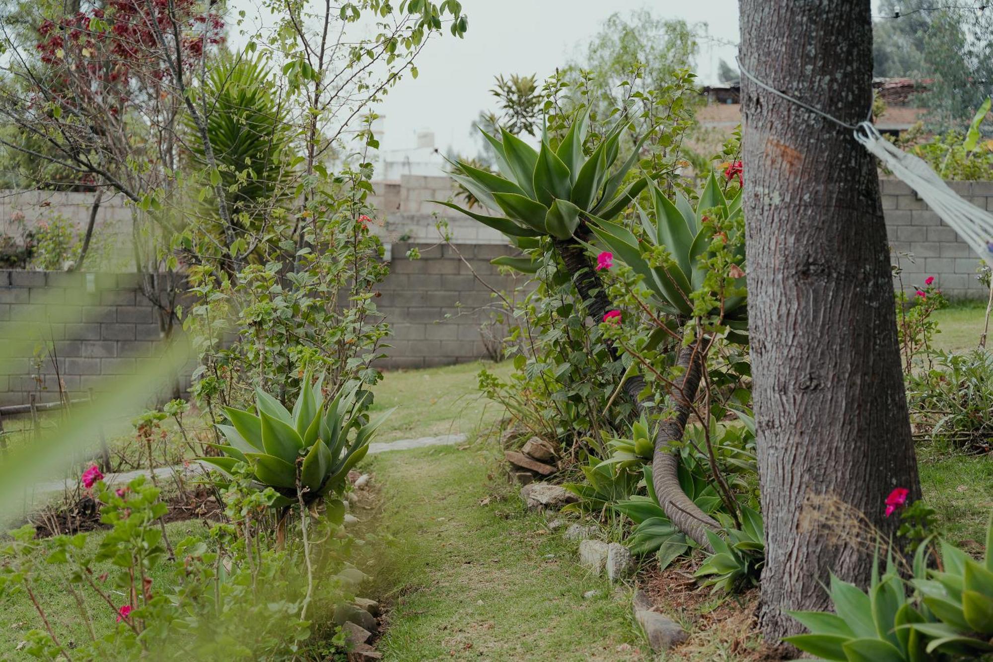 Kinti Wasi Casa De Campo Hospedaje Los Banos del Inca エクステリア 写真